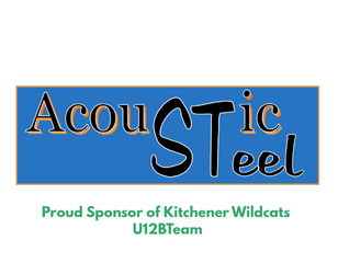 Acouic Steel